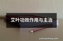 艾叶功效作用与主治