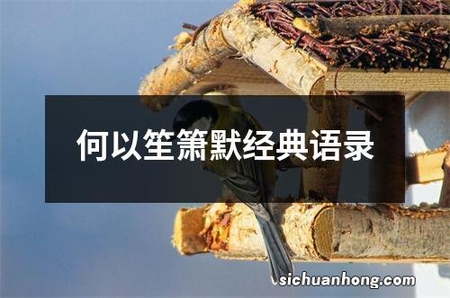 何以笙箫默经典语录