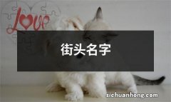 街头名字