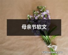 母亲节软文