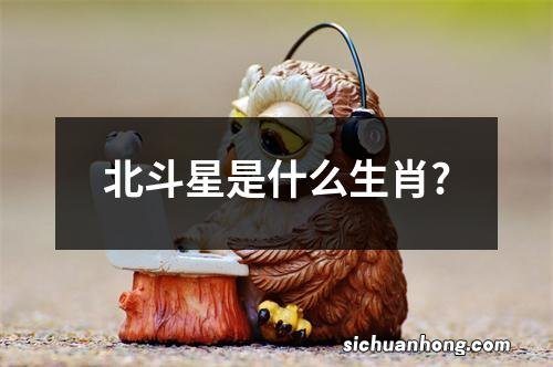 北斗星是什么生肖?