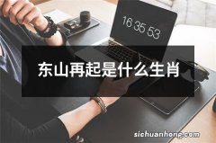 东山再起是什么生肖