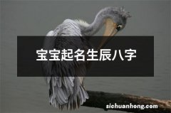 宝宝起名生辰八字