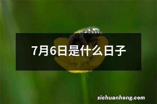 7月6日是什么日子