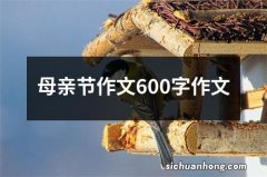 母亲节作文600字作文