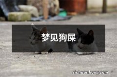 梦见狗屎