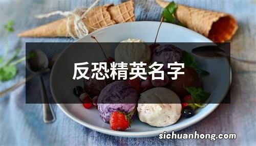 反恐精英名字