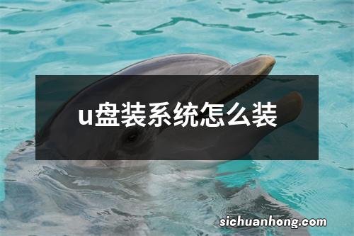 u盘装系统怎么装