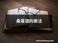 桑葚酒的做法