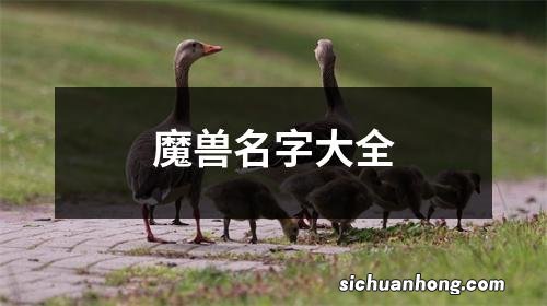 魔兽名字大全