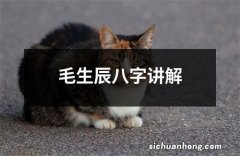 毛生辰八字讲解