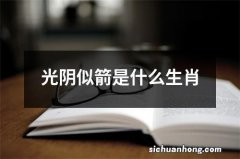 光阴似箭是什么生肖