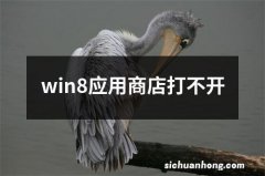 win8应用商店打不开