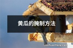 黄瓜的腌制方法