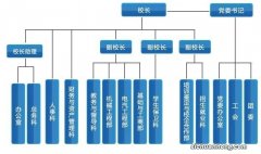 大学里面书记和校长哪个大？