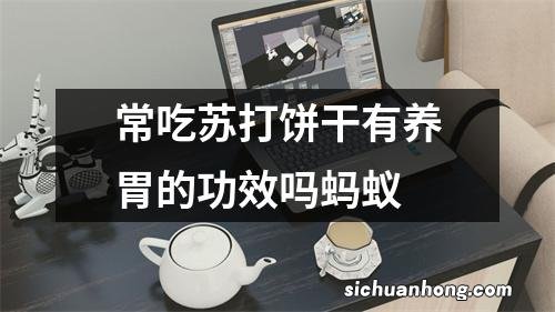 常吃苏打饼干有养胃的功效吗蚂蚁