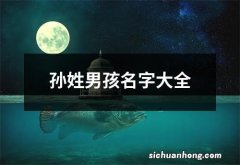 孙姓男孩名字大全