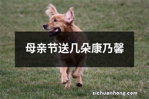 母亲节送几朵康乃馨