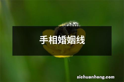 手相婚姻线