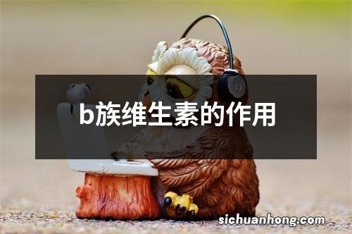 b族维生素的作用