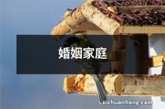 婚姻家庭