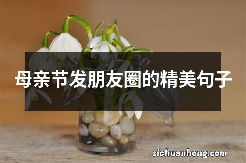 母亲节发朋友圈的精美句子