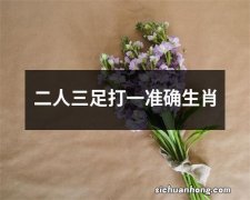 二人三足打一准确生肖