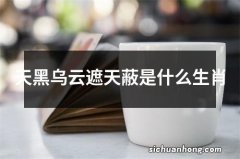 天黑乌云遮天蔽是什么生肖