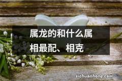 属龙的和什么属相最配、相克