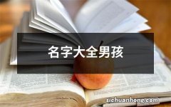 名字大全男孩