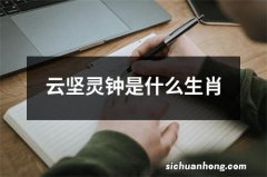 云坚灵钟是什么生肖