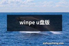 winpe u盘版