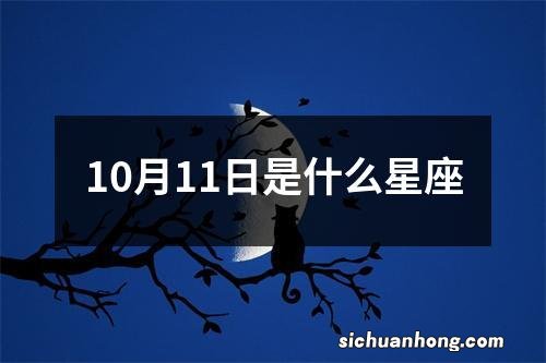 10月11日是什么星座