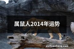 属鼠人2014年运势