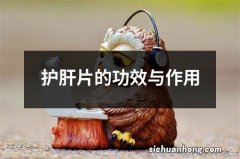 护肝片的功效与作用