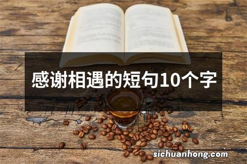 感谢相遇的短句10个字