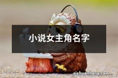 小说女主角名字