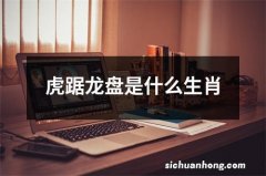 虎踞龙盘是什么生肖