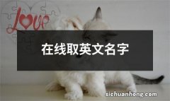 在线取英文名字