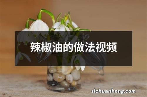 辣椒油的做法视频