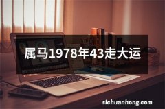 属马1978年43走大运