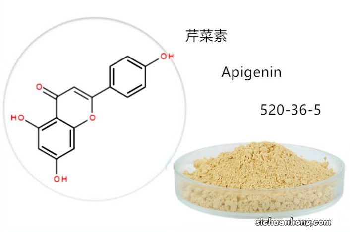 香菜的由来 香菜的介绍