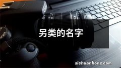 另类的名字