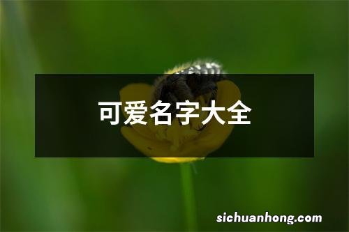 可爱名字大全