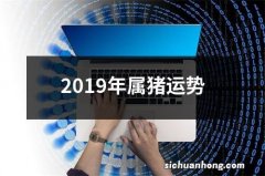 2019年属猪运势