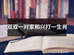 双双一对家和兴打一生肖