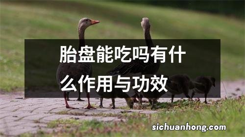 胎盘能吃吗有什么作用与功效