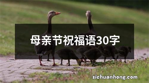母亲节祝福语30字