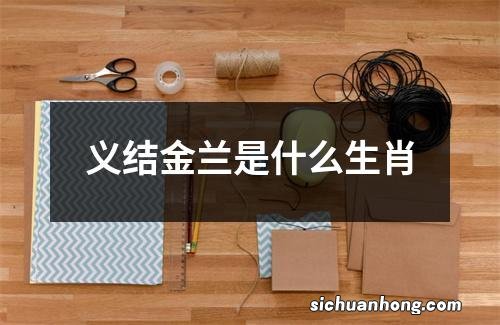 义结金兰是什么生肖