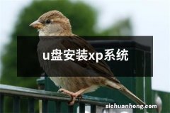 u盘安装xp系统